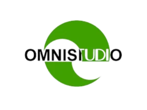 omnistudio-consultant