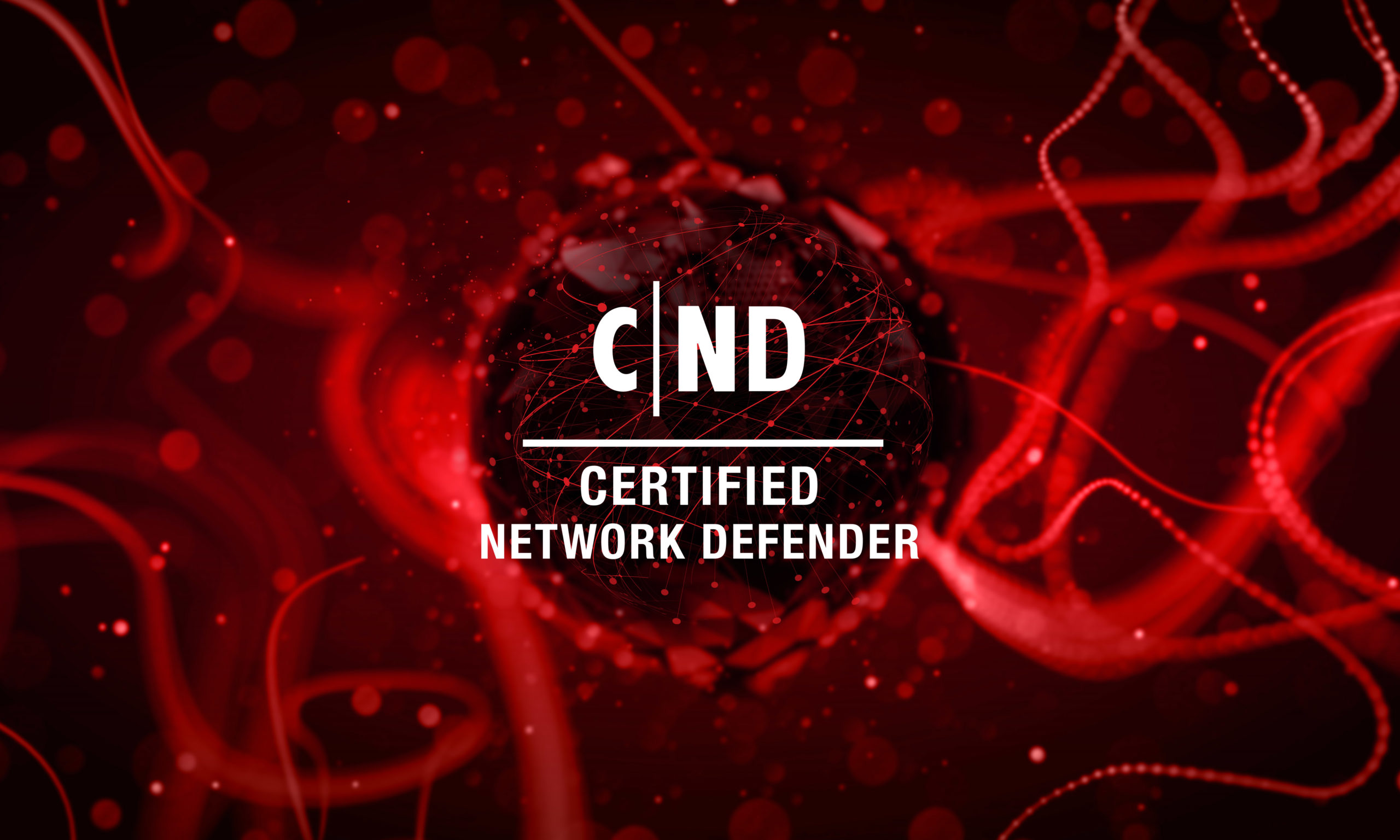 CND-Cover-Image-2020-scaled